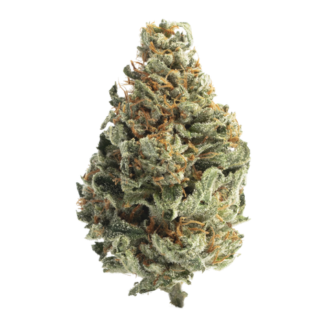 Z41 THCa Flower