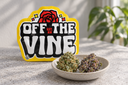 Editorial illustration of green and purple cannabis flowers in a shallow dish beside a yellow Off The Vine pouch.