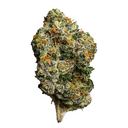 Gumbo THCa Flower