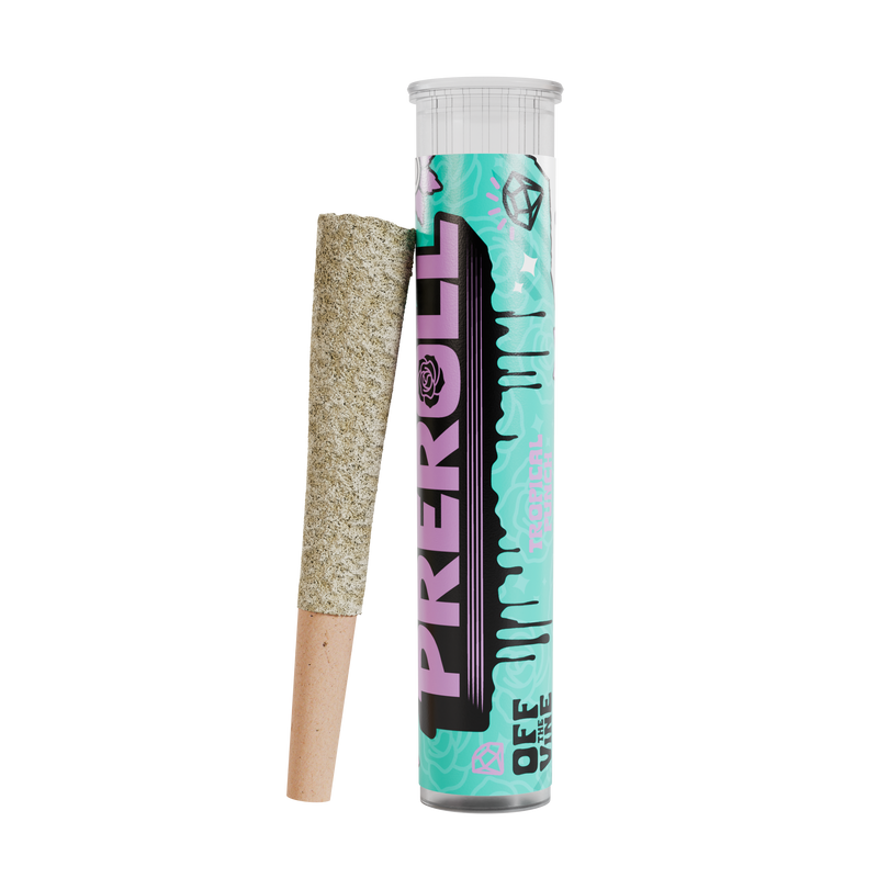 Tropical Punch THCa Preroll