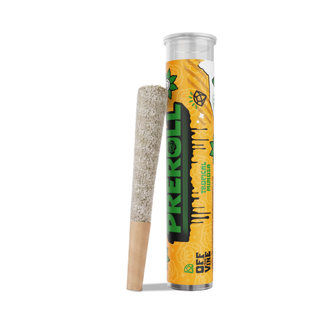 Tropical Mimosa THCa Preroll