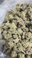 Runtz THCa Flower